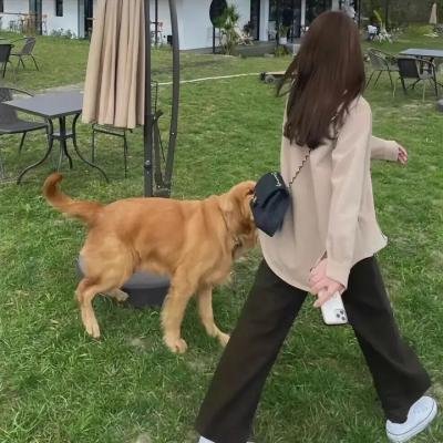 不要小看我